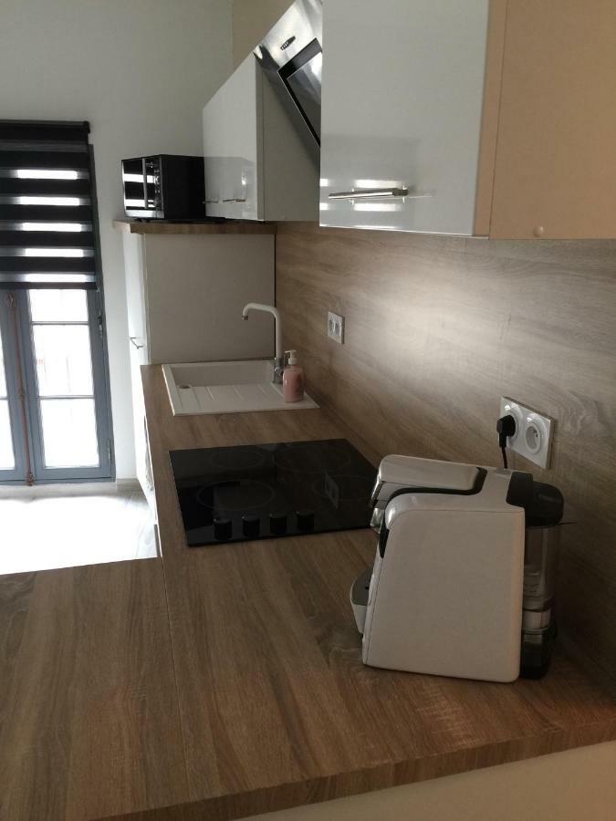 Appartement L'Islois L'Isle-sur-la-Sorgue Kültér fotó